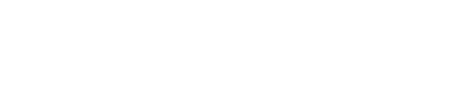 My Dreams Holidays
